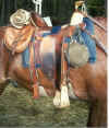 grimsley saddle